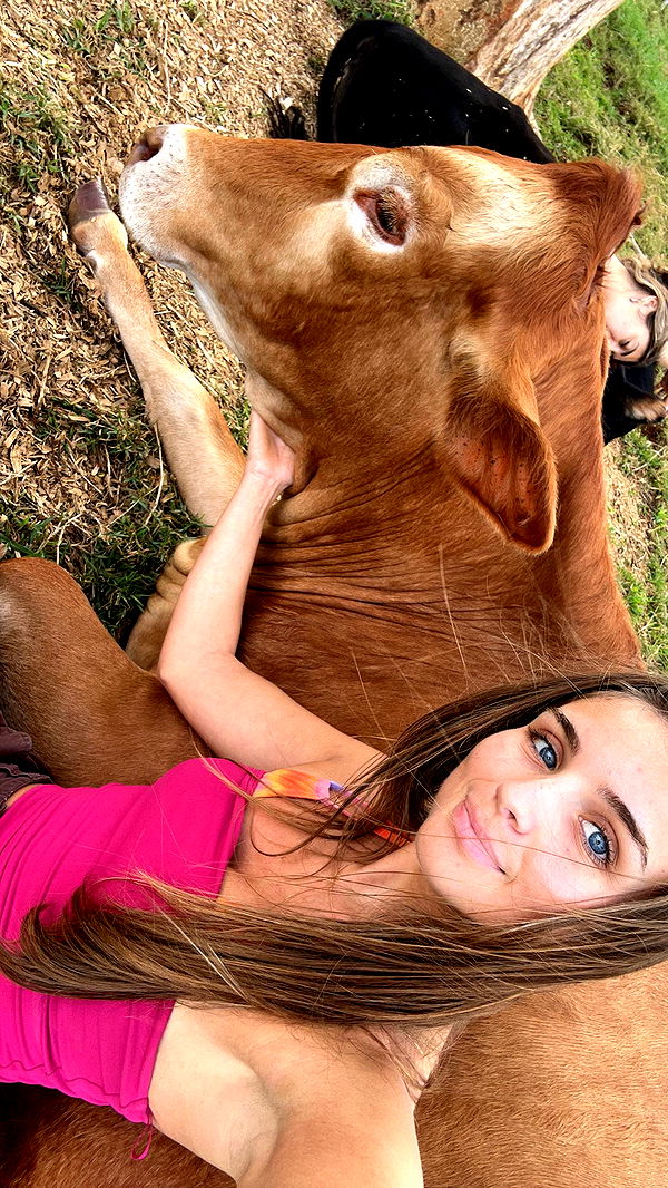 soph4ocean image ~ Altpins