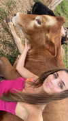soph4ocean Altpins Profile Picture