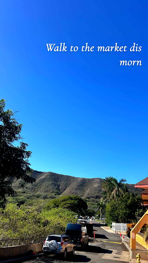 soph4ocean image ~ Altpins