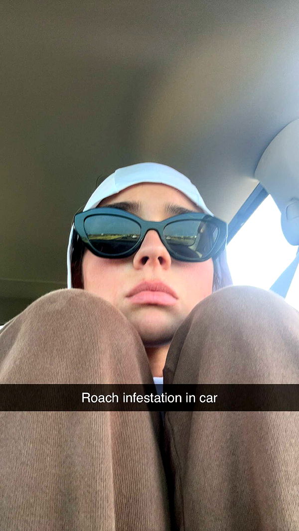 soph4ocean image ~ Altpins