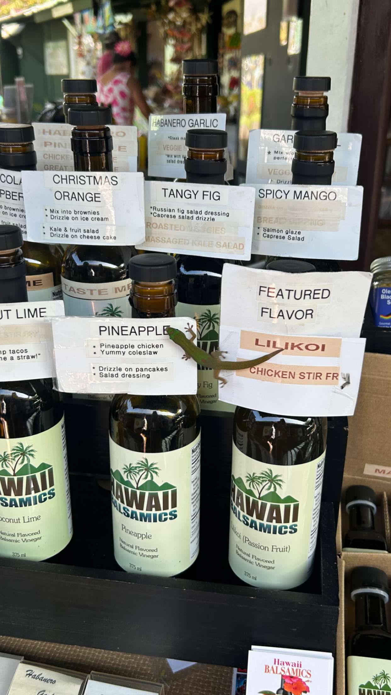 soph4ocean snapchat image archive image