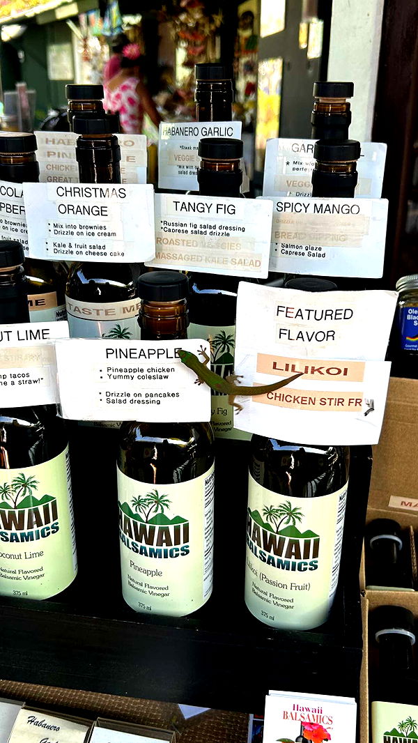 soph4ocean image ~ Altpins