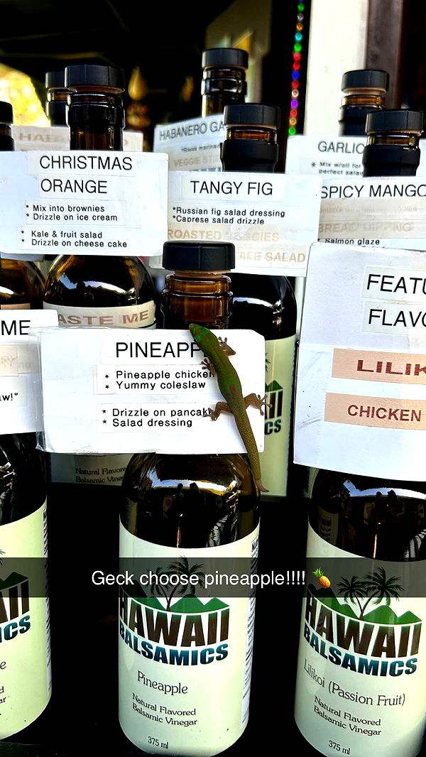 soph4ocean image ~ Altpins