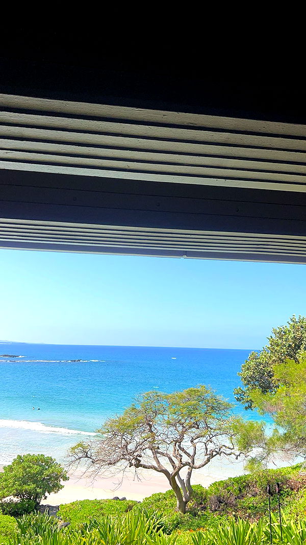 soph4ocean image ~ Altpins