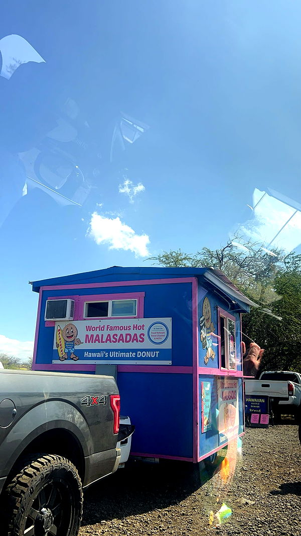 soph4ocean image ~ Altpins