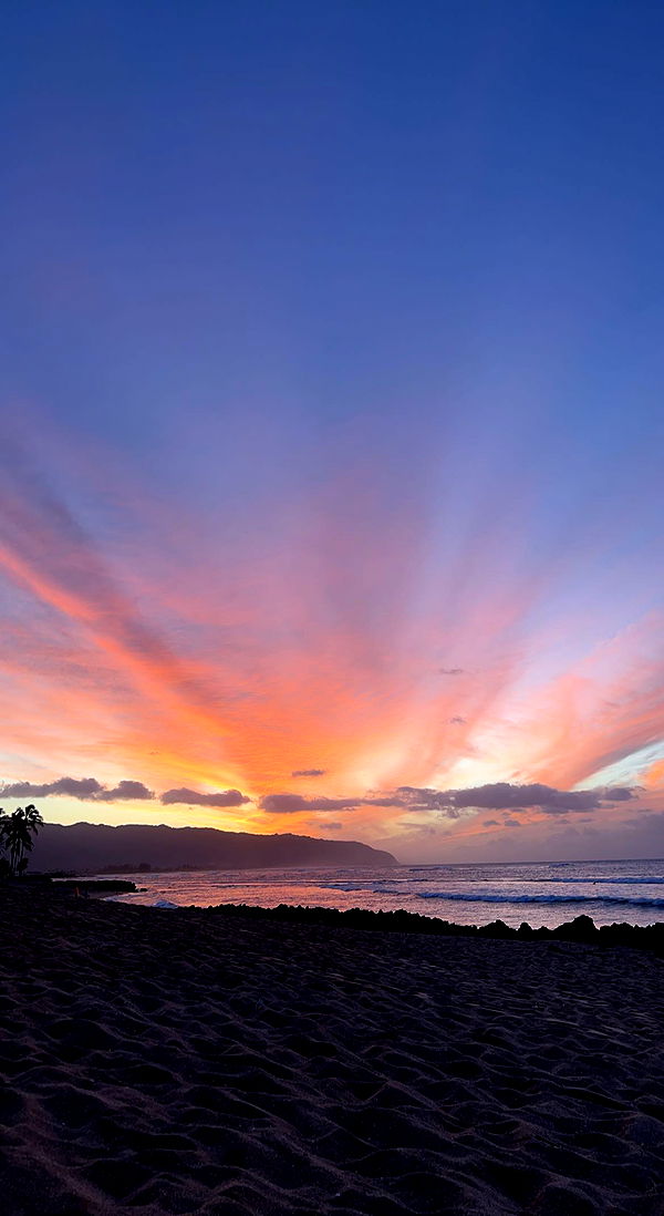 soph4ocean image ~ Altpins