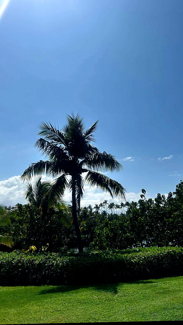 soph4ocean image ~ Altpins