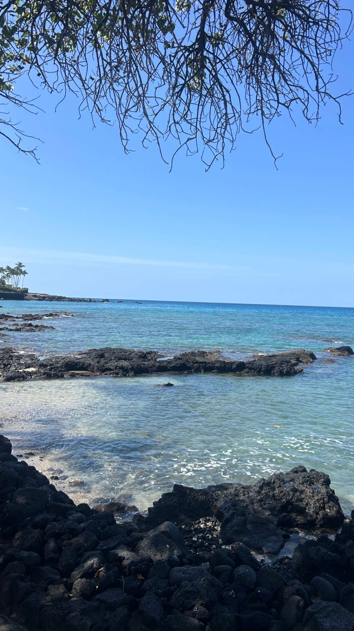 soph4ocean snapchat image archive image