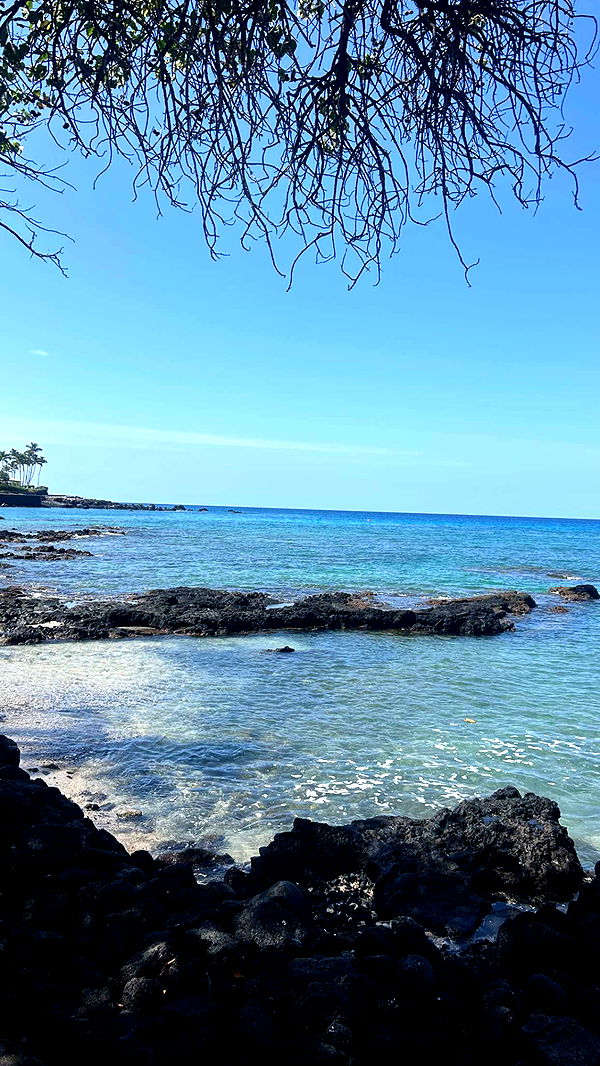 soph4ocean image ~ Altpins