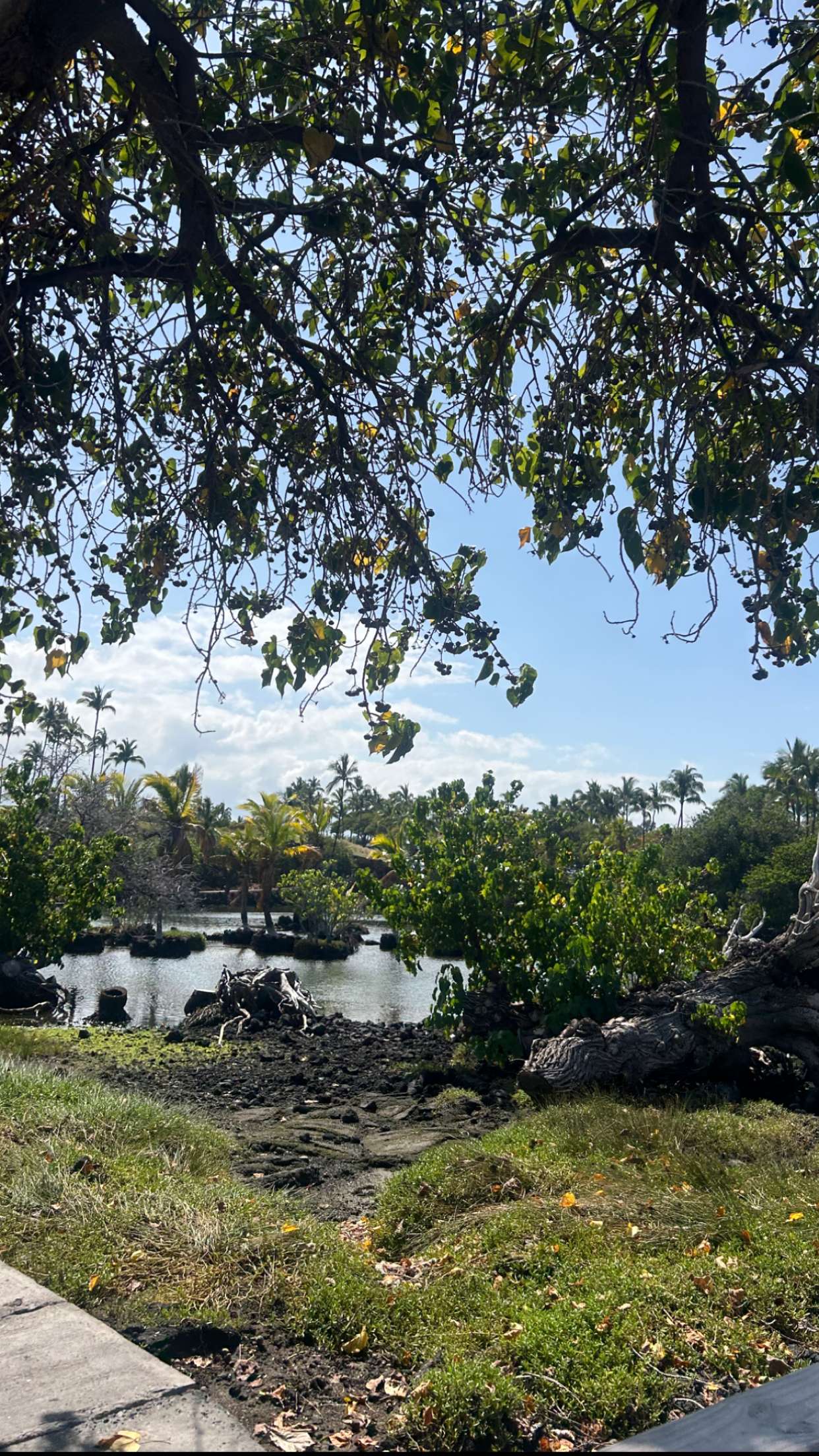 soph4ocean snapchat image archive image