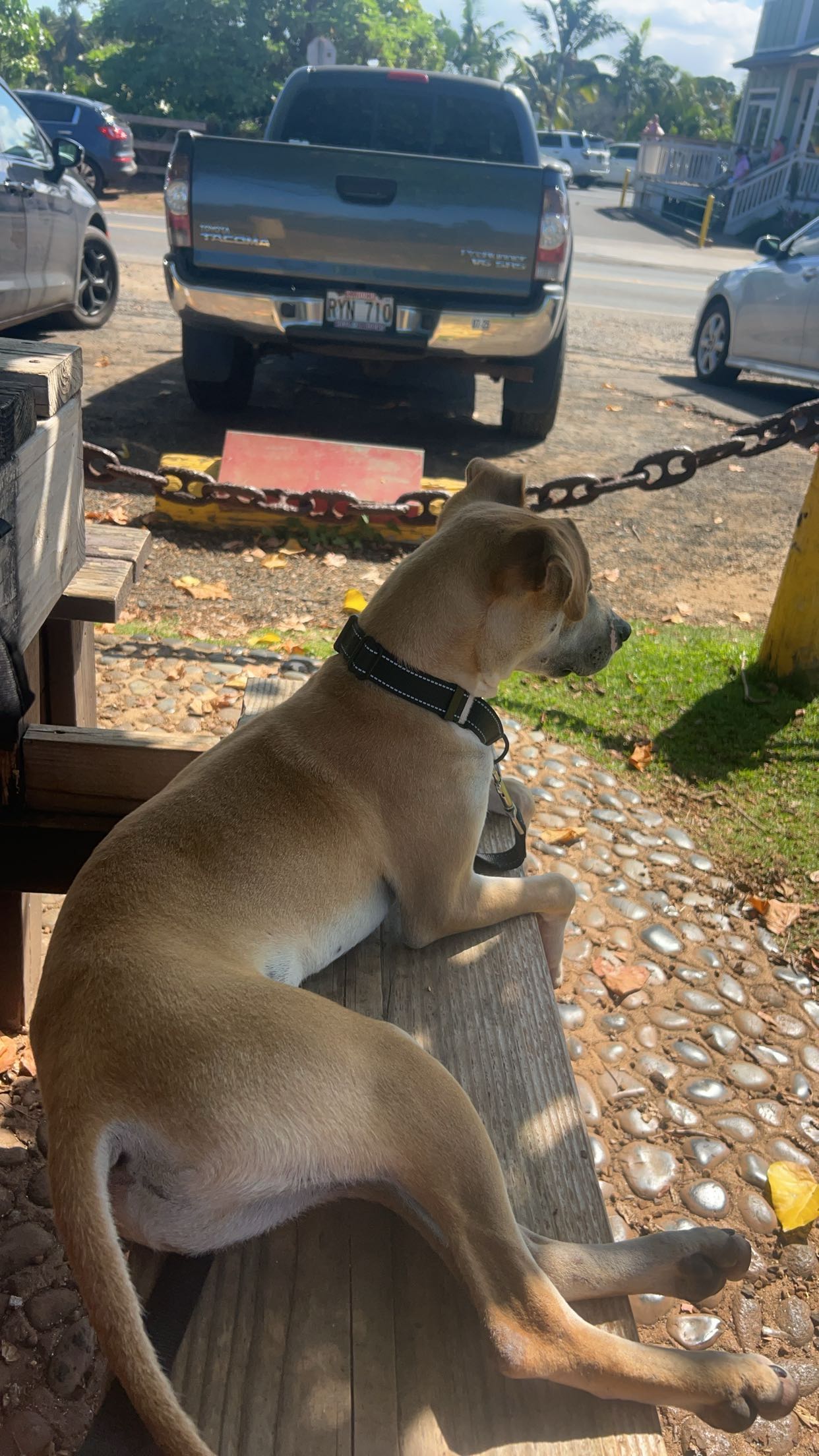 soph4ocean snapchat image archive image