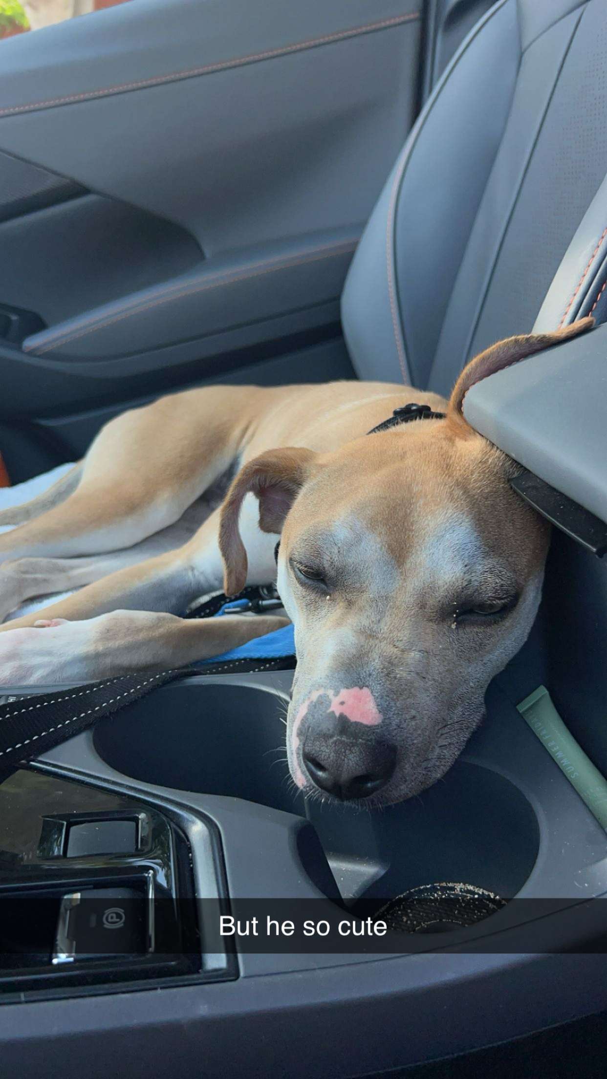 soph4ocean snapchat image archive image