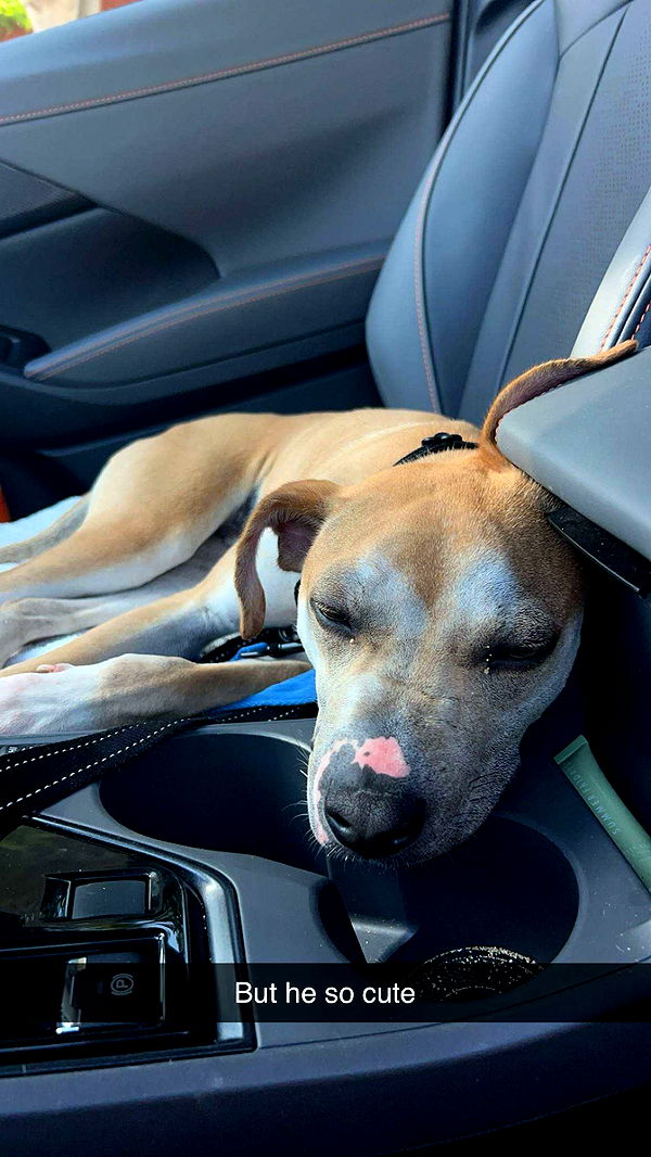 soph4ocean image ~ Altpins