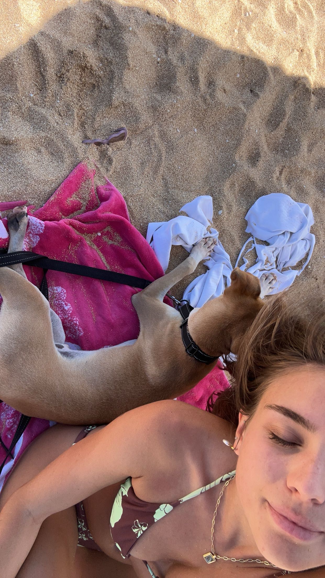 soph4ocean snapchat image archive image