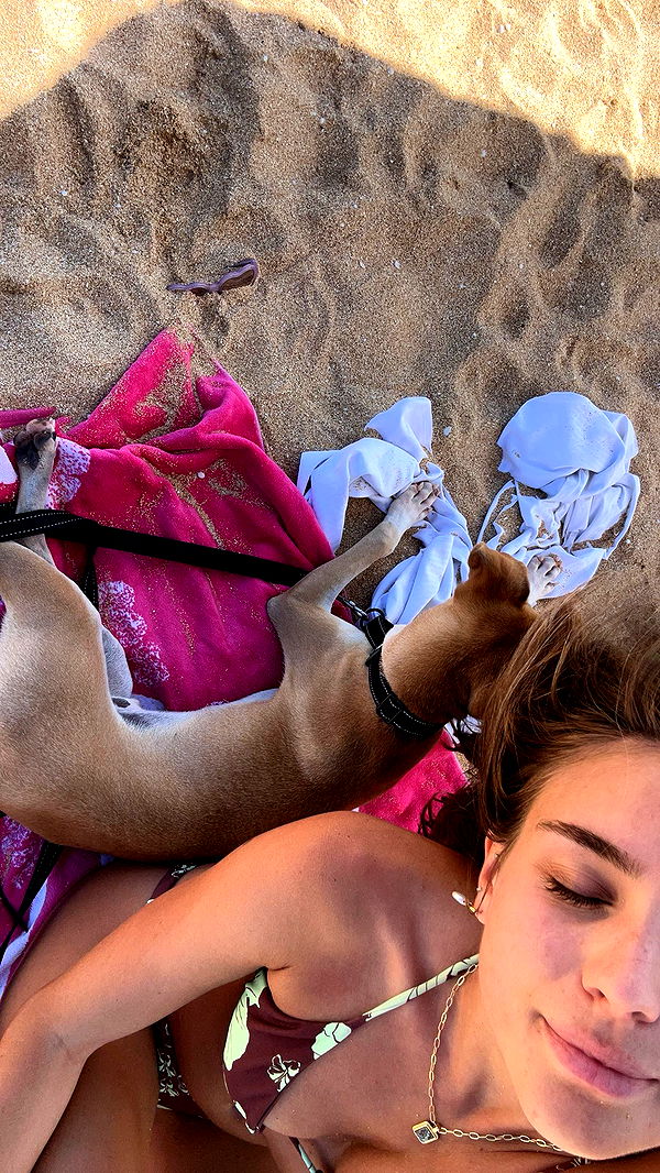 soph4ocean image ~ Altpins