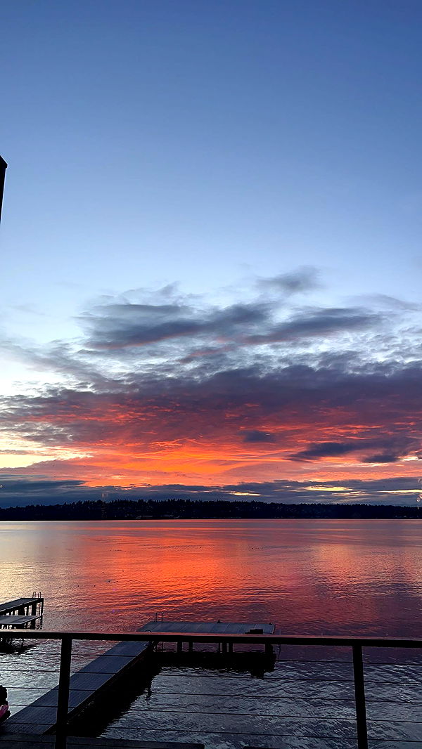 soph4ocean image ~ Altpins