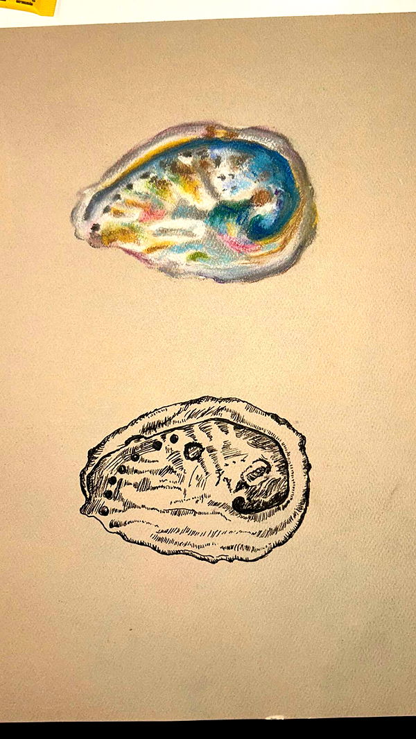 soph4ocean image ~ Altpins