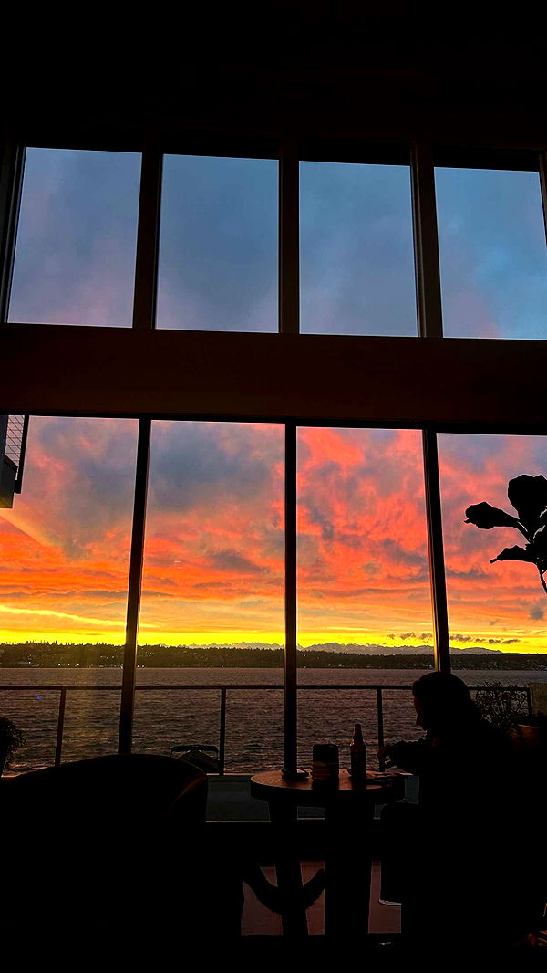 soph4ocean image ~ Altpins