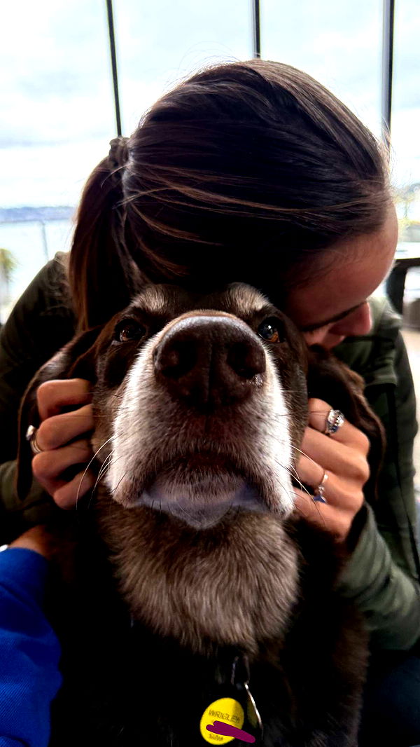 soph4ocean image ~ Altpins