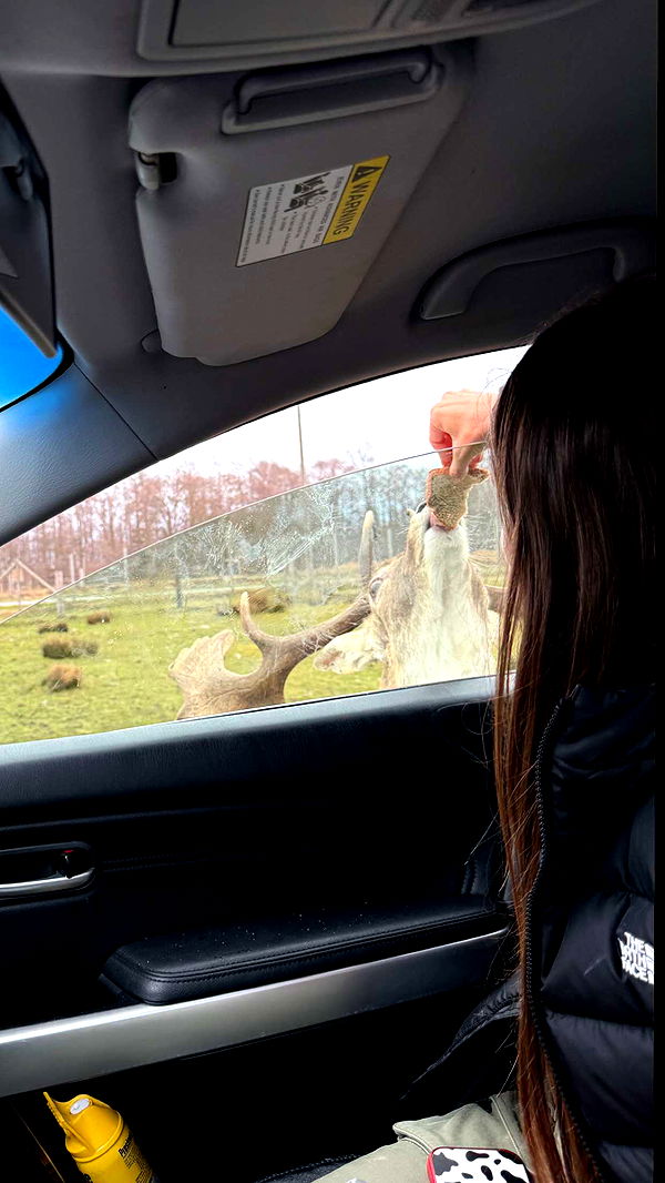 soph4ocean image ~ Altpins