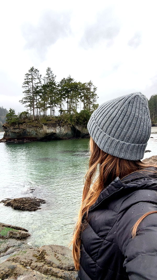 soph4ocean image ~ Altpins