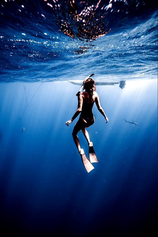 soph4ocean image ~ Altpins