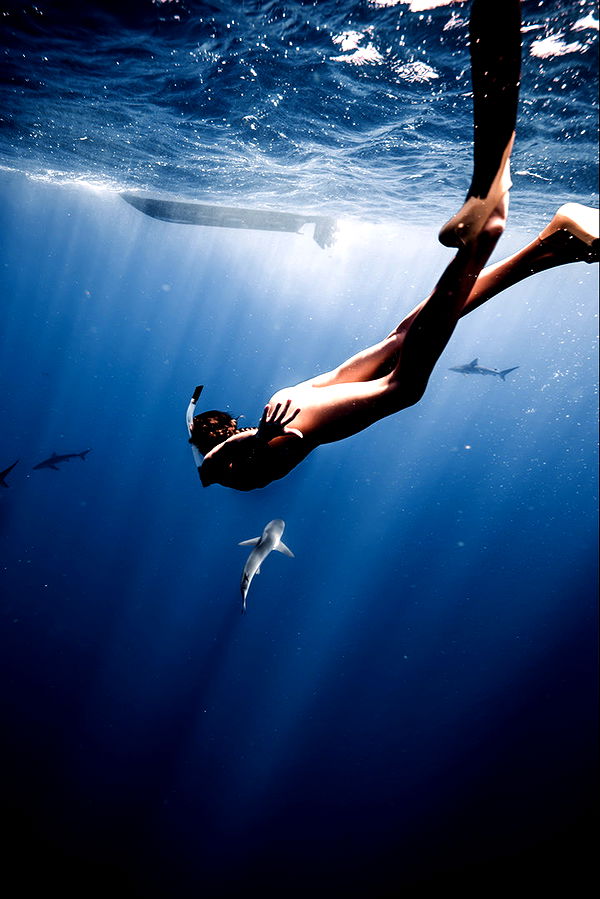 soph4ocean image ~ Altpins