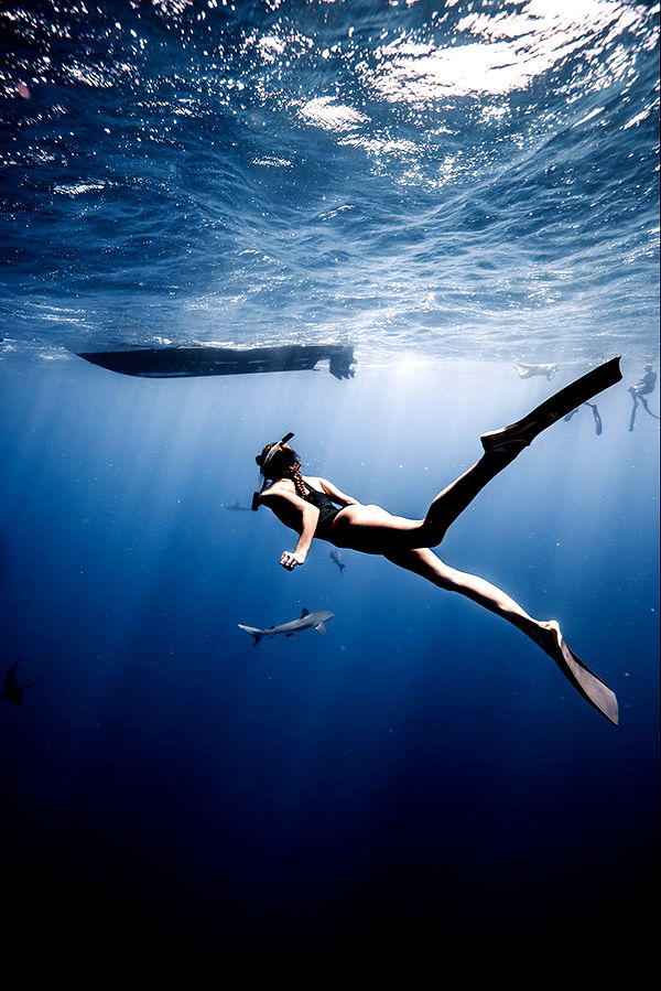 soph4ocean image ~ Altpins