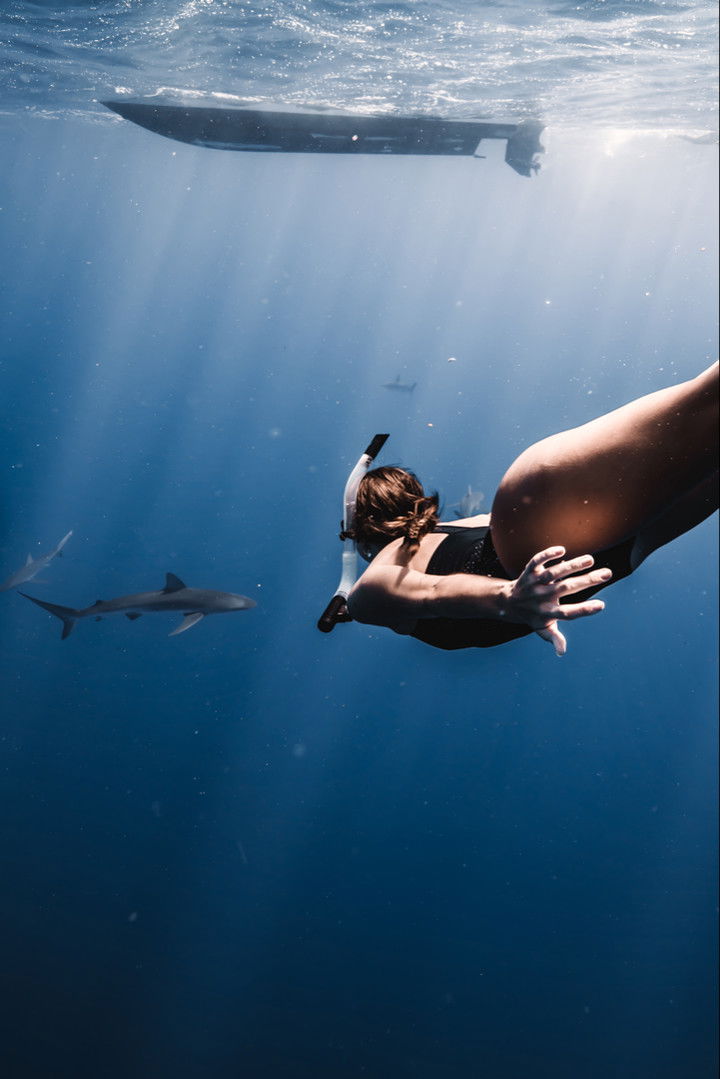 soph4ocean snapchat image archive image