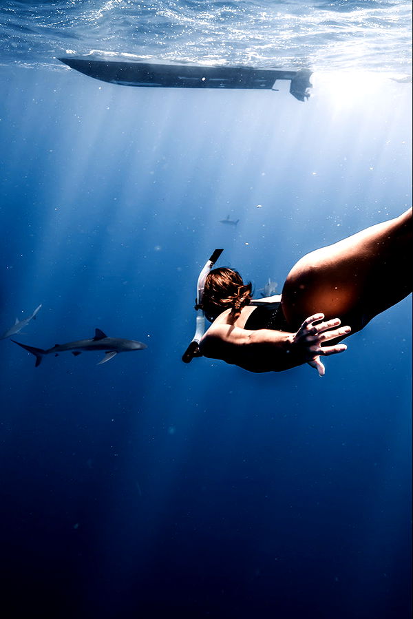 soph4ocean image ~ Altpins