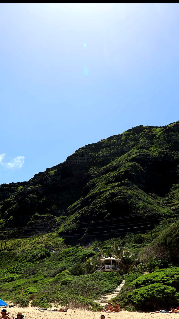 soph4ocean image ~ Altpins