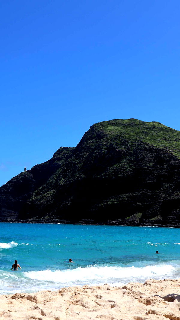 soph4ocean image ~ Altpins