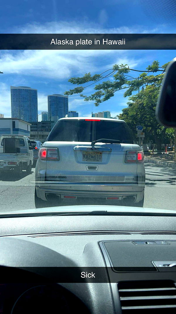 soph4ocean image ~ Altpins