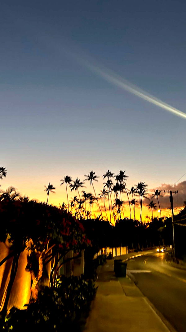 soph4ocean image ~ Altpins