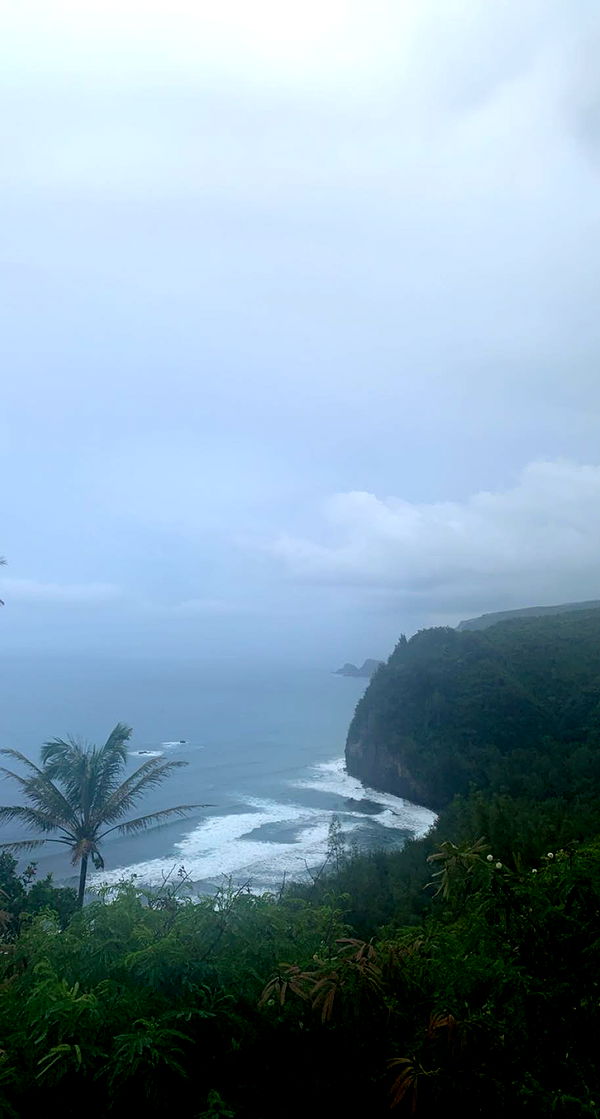 soph4ocean image ~ Altpins