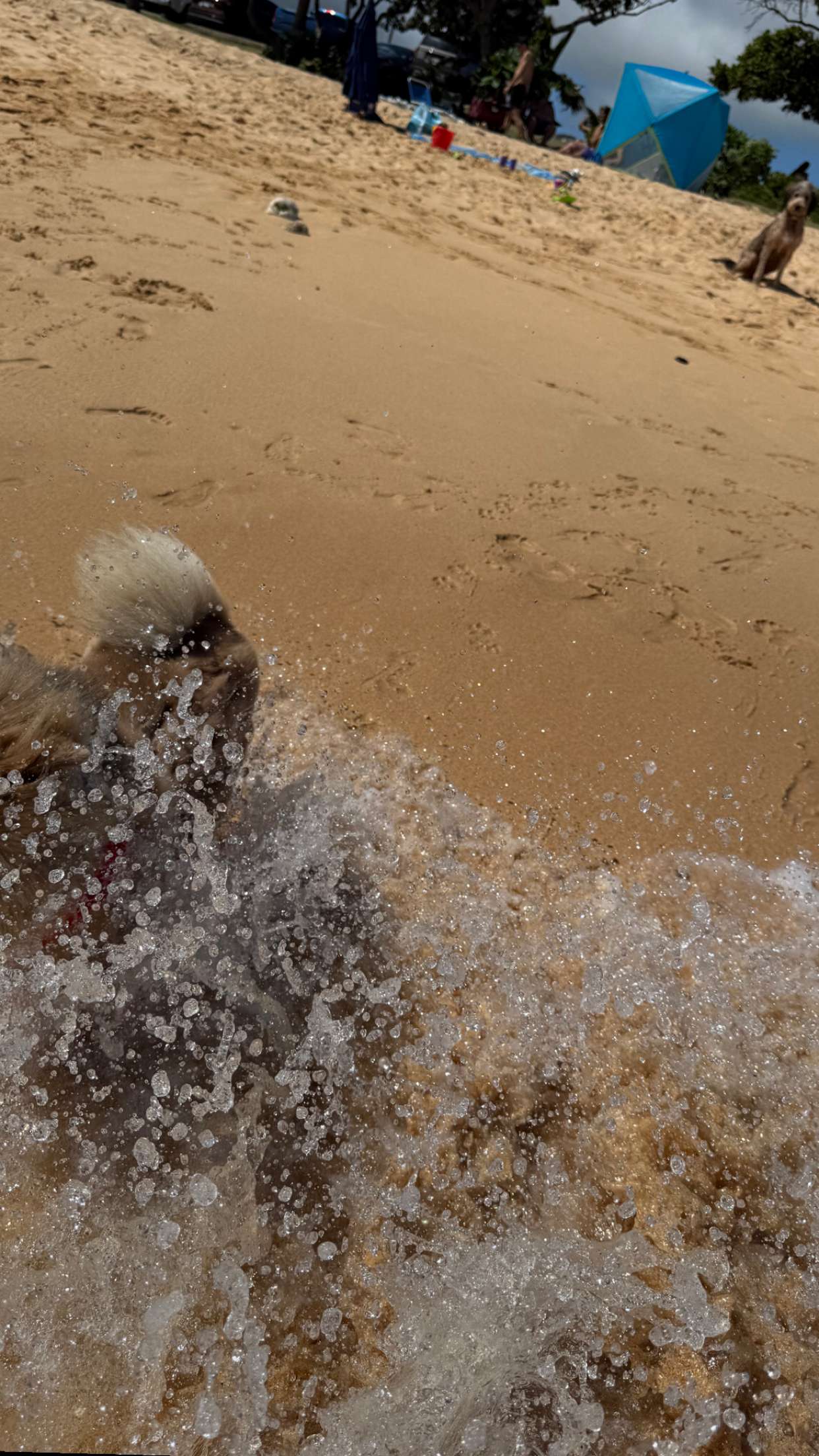 soph4ocean snapchat image archive image