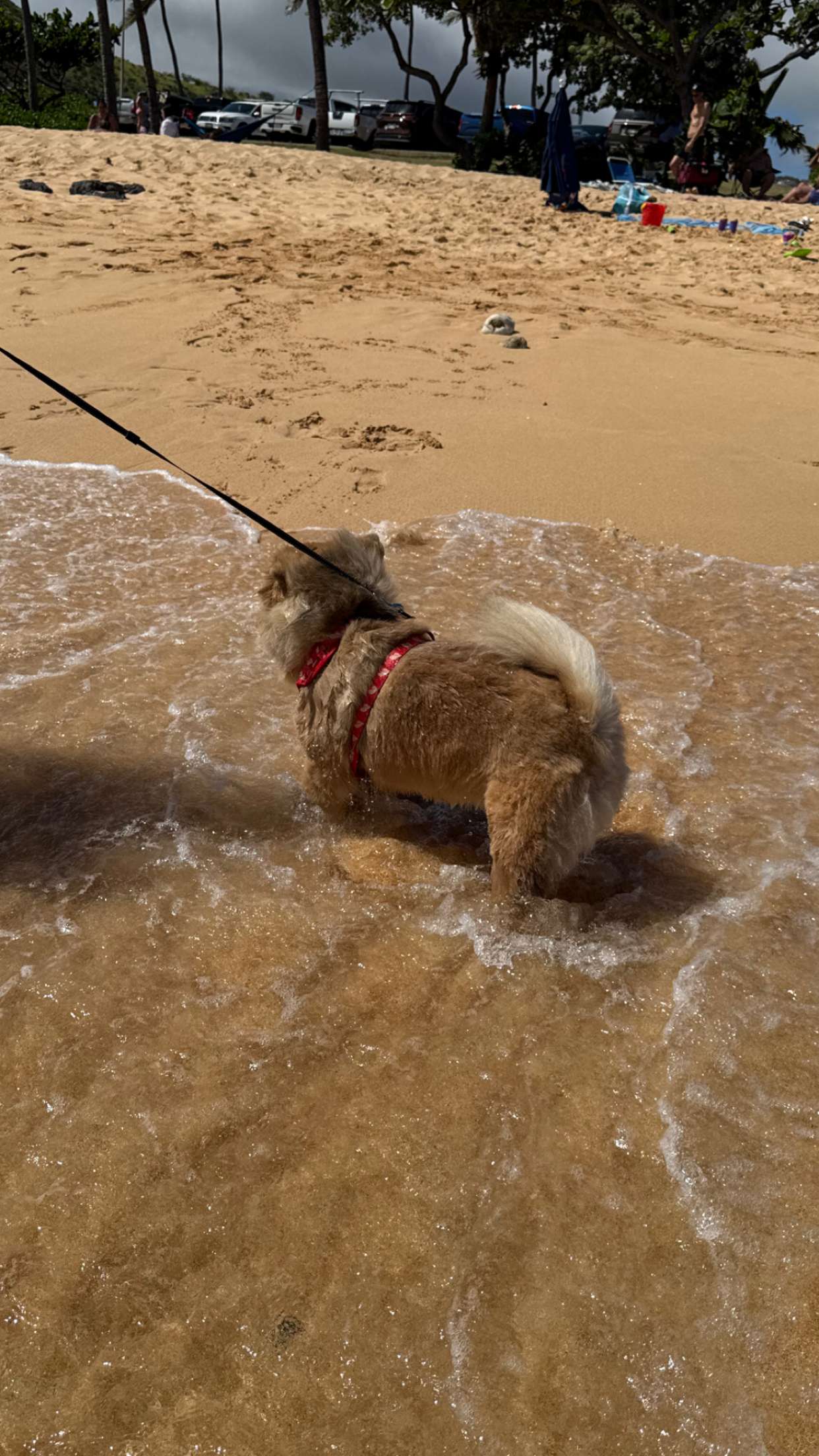 soph4ocean snapchat image archive image