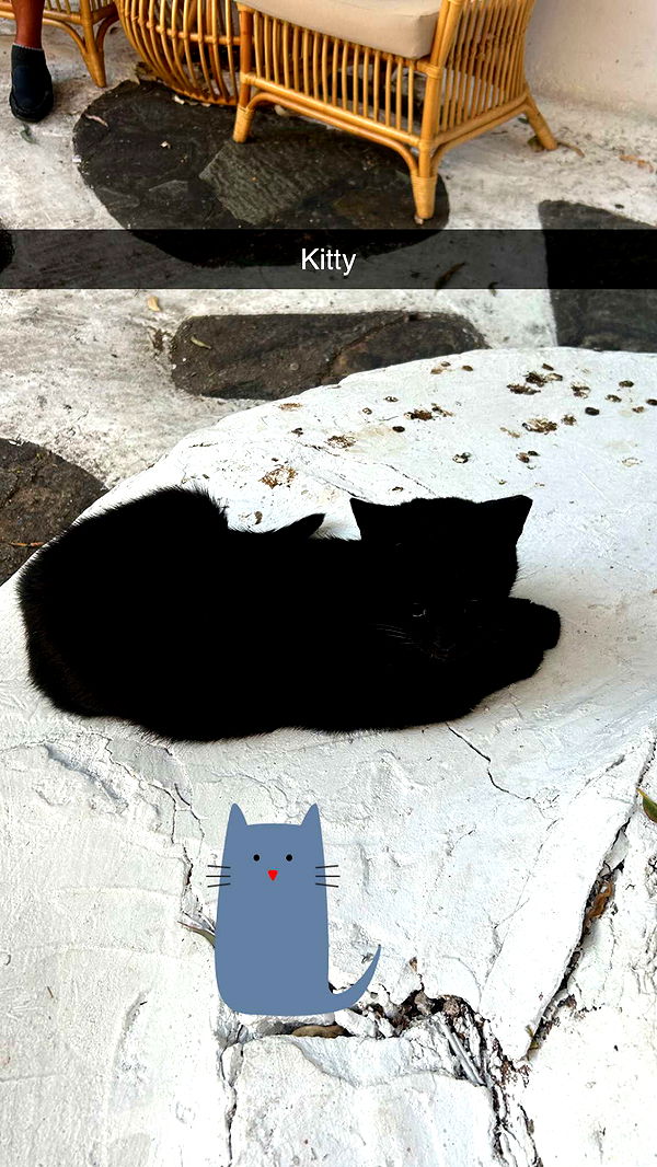 soph4ocean image ~ Altpins