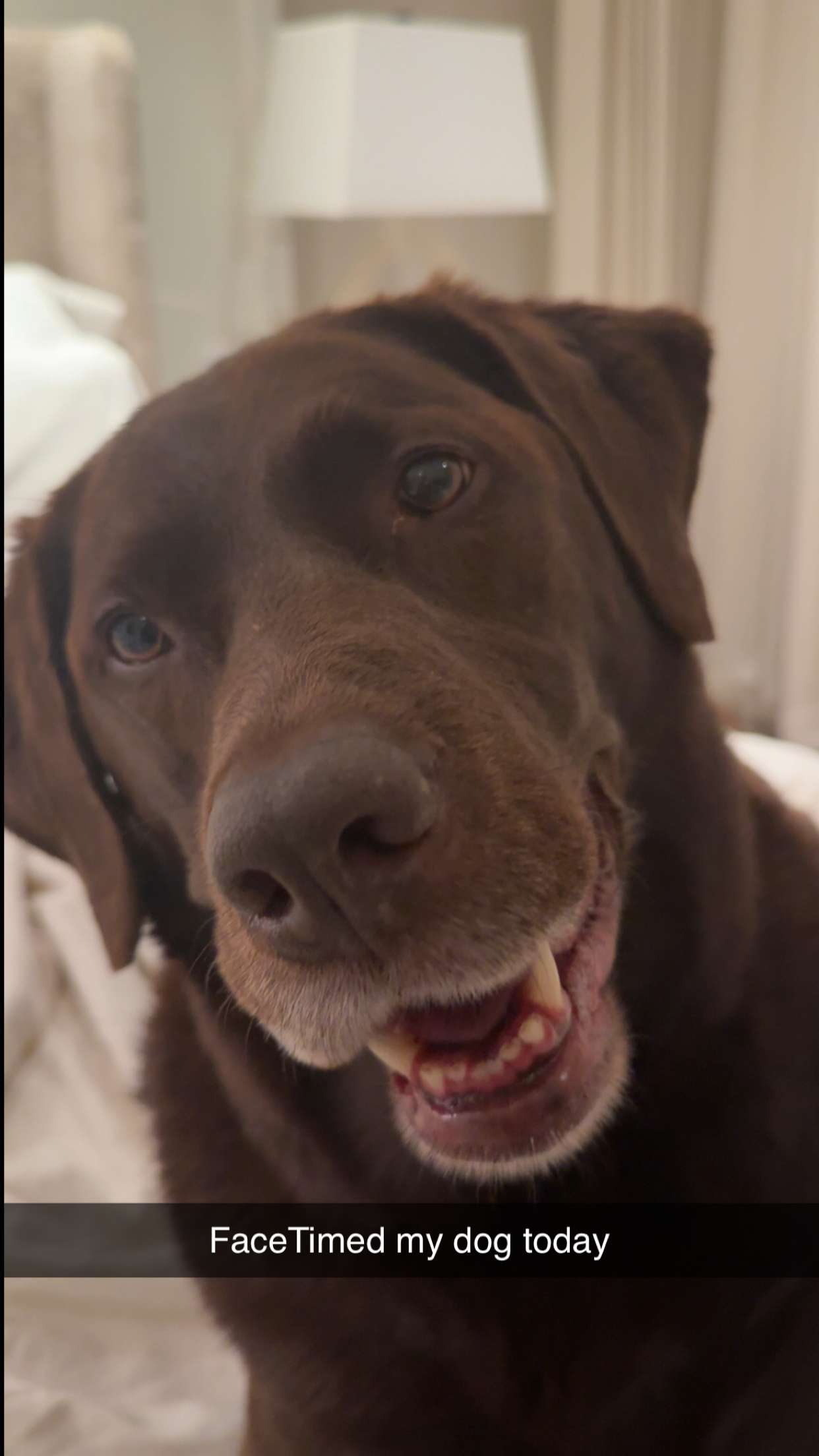 soph4ocean snapchat image archive image