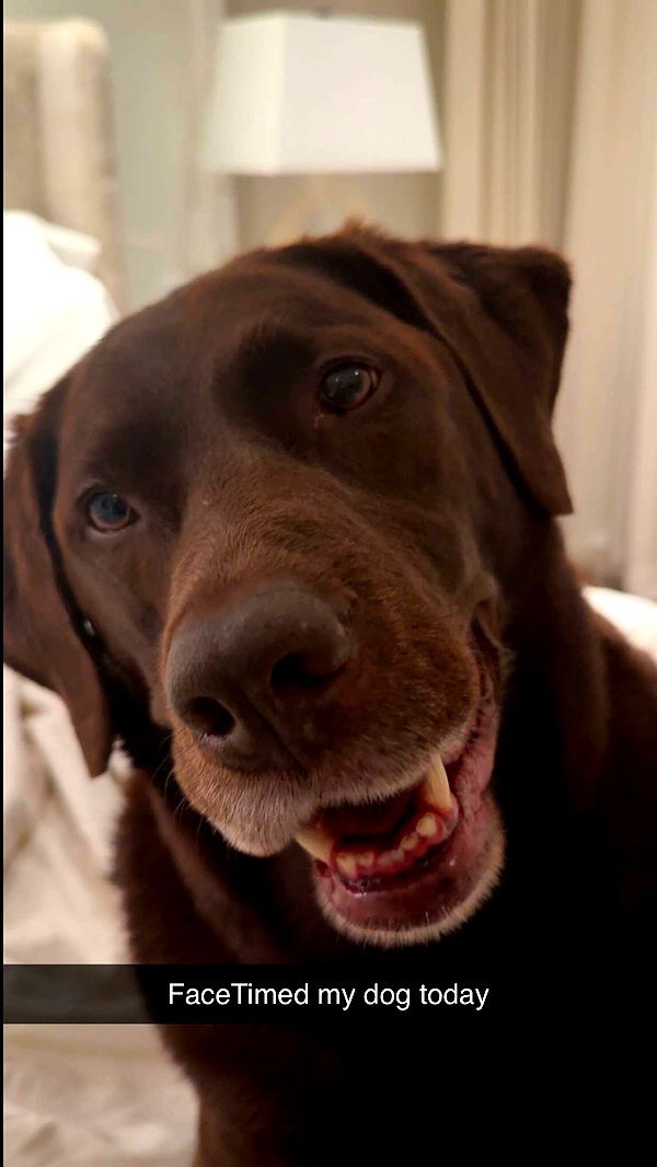 soph4ocean image ~ Altpins