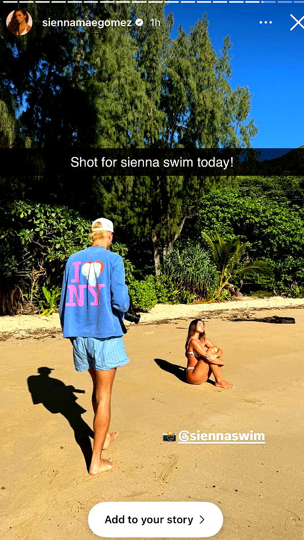 soph4ocean image ~ Altpins