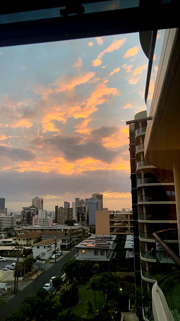 soph4ocean image ~ Altpins