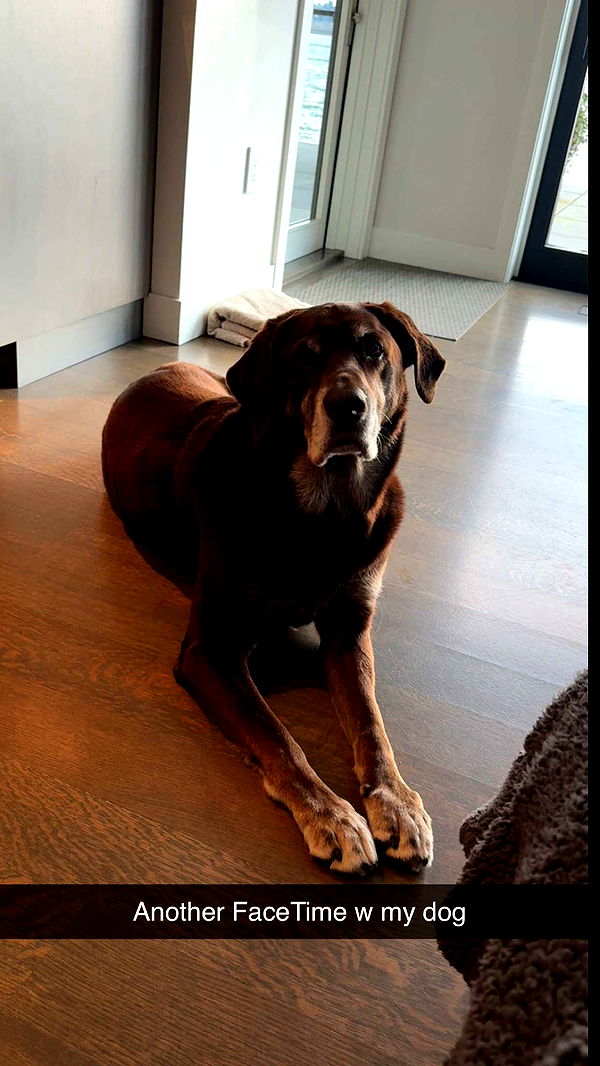 soph4ocean image ~ Altpins