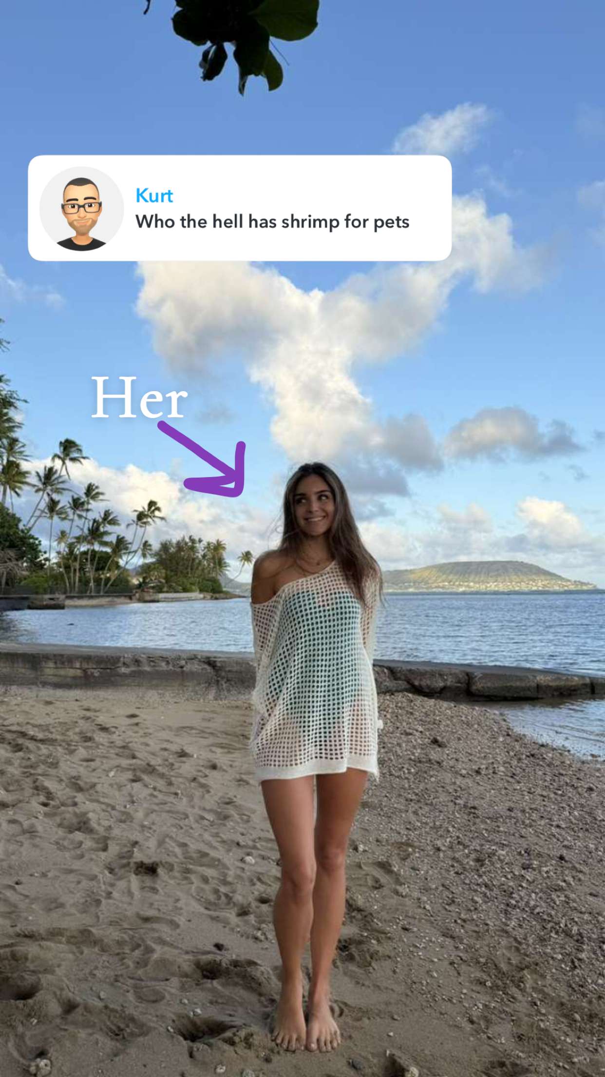 soph4ocean snapchat image archive image