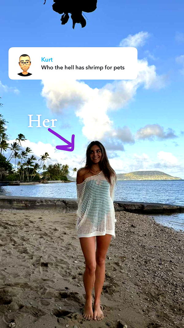 soph4ocean image ~ Altpins