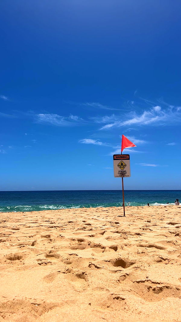 soph4ocean image ~ Altpins