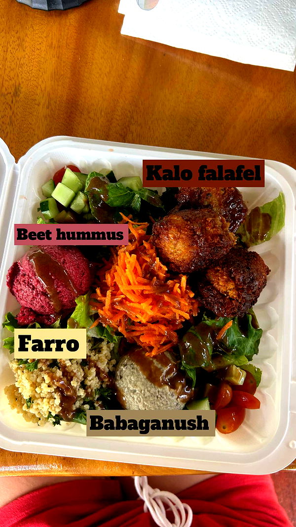 soph4ocean image ~ Altpins