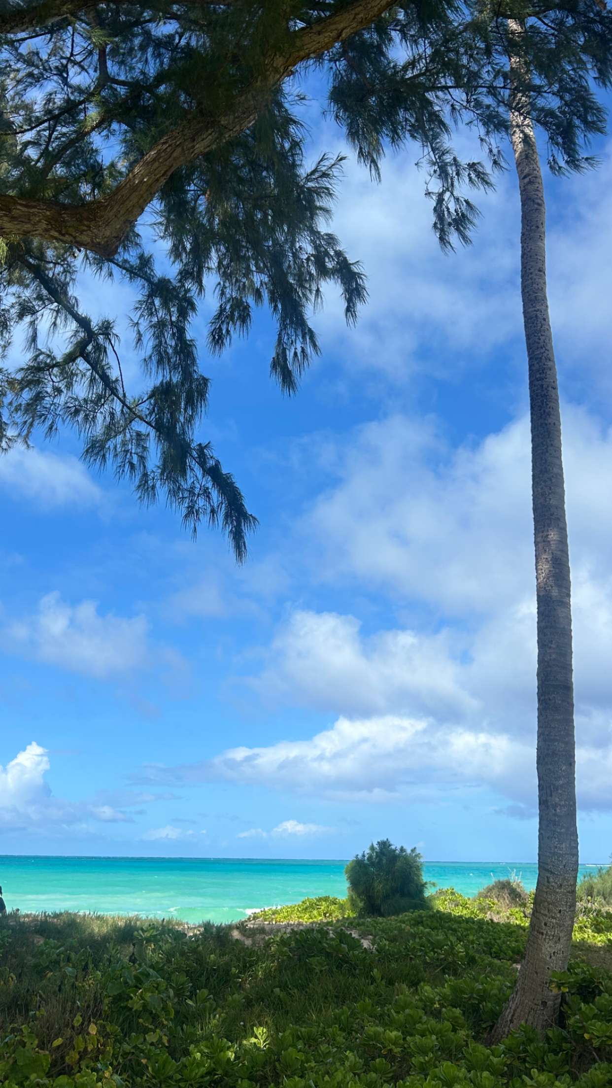 soph4ocean snapchat image archive image