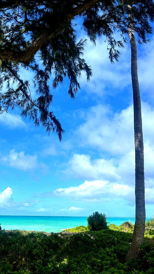 soph4ocean image ~ Altpins