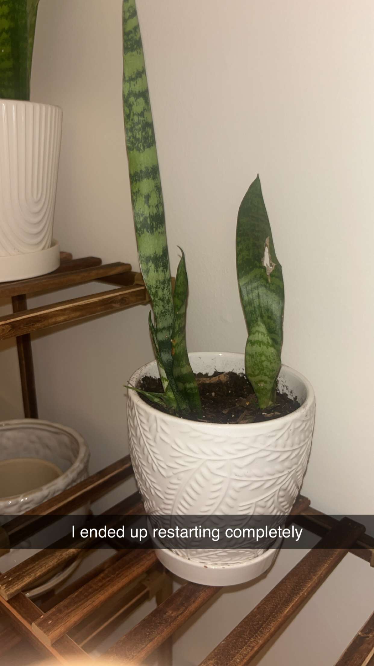 soph4ocean snapchat image archive image